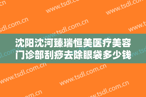 沈阳沈河臻瑞恒美医疗美容门诊部刮痧去除眼袋多少钱?好不好?