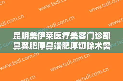 昆明美伊莱医疗美容门诊部鼻翼肥厚鼻端肥厚切除术需要多少费用?靠谱吗?