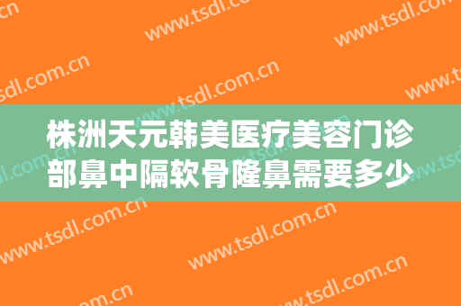株洲天元韩美医疗美容门诊部鼻中隔软骨隆鼻需要多少钱?靠谱吗?(株洲韩美整形美容医院地址)