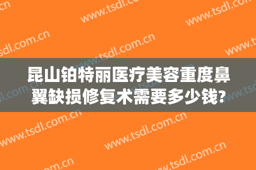 昆山铂特丽医疗美容重度鼻翼缺损修复术需要多少钱?怎么样?(昆山铂特丽医疗美容医生)