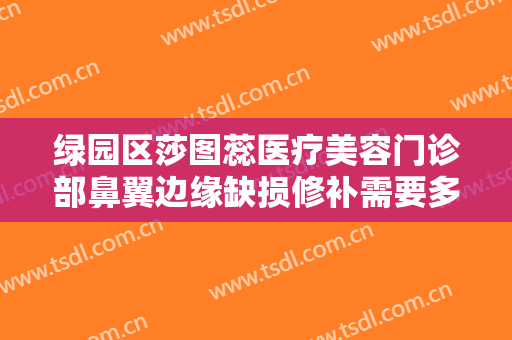 绿园区莎图蕊医疗美容门诊部鼻翼边缘缺损修补需要多少钱?效果怎么样?