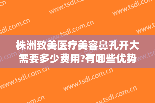 株洲致美医疗美容鼻孔开大需要多少费用?有哪些优势?(株洲整容医院费用)