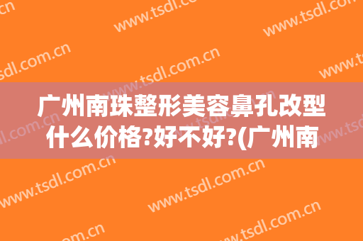 广州南珠整形美容鼻孔改型什么价格?好不好?(广州南珠整形美容医院怎么样?)