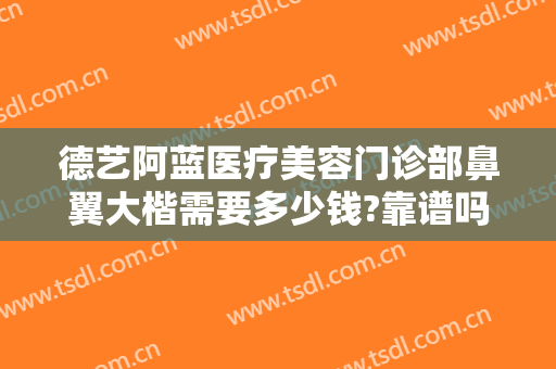 德艺阿蓝医疗美容门诊部鼻翼大楷需要多少钱?靠谱吗?
