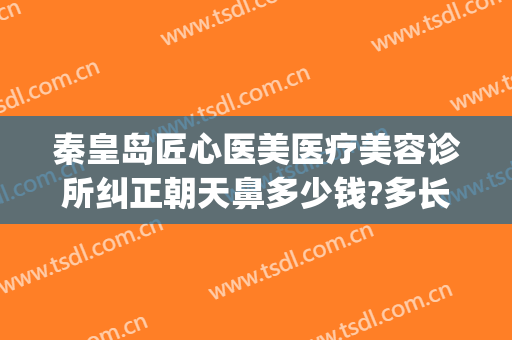 秦皇岛匠心医美医疗美容诊所纠正朝天鼻多少钱?多长时间恢复?(秦皇岛整容医院费用)