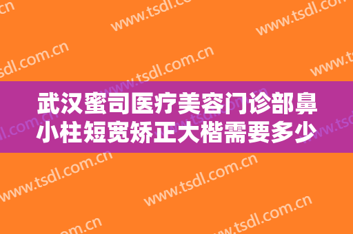 武汉蜜司医疗美容门诊部鼻小柱短宽矫正大楷需要多少钱?好不好?
