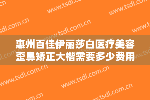 惠州百佳伊丽莎白医疗美容歪鼻矫正大楷需要多少费用?好不好?