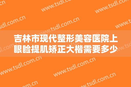 吉林市现代整形美容医院上眼睑提肌矫正大楷需要多少钱?好不好?