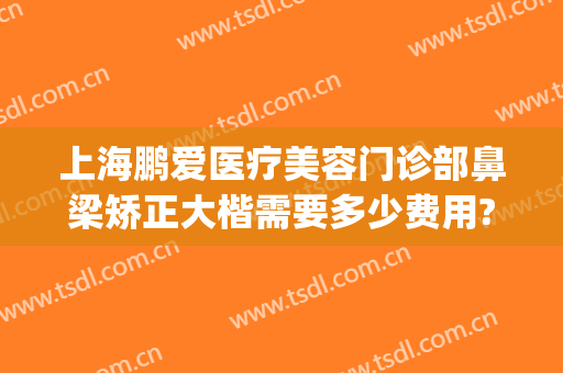 上海鹏爱医疗美容门诊部鼻梁矫正大楷需要多少费用?贵不贵?(上海鹏爱整形医院)