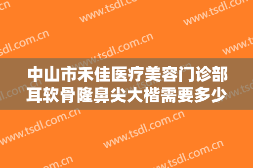 中山市禾佳医疗美容门诊部耳软骨隆鼻尖大楷需要多少钱?有哪些优势?