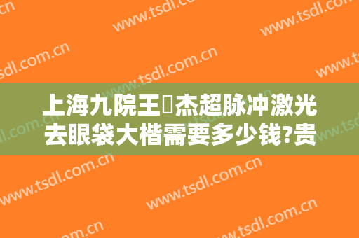 上海九院王彧杰超脉冲激光去眼袋大楷需要多少钱?贵不贵?
