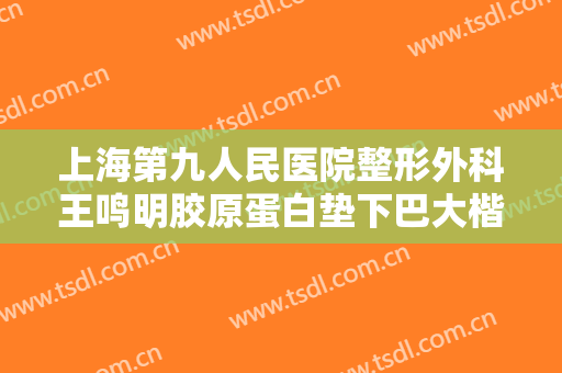 上海第九人民医院整形外科王鸣明胶原蛋白垫下巴大楷需要多少费用?效果怎么样?