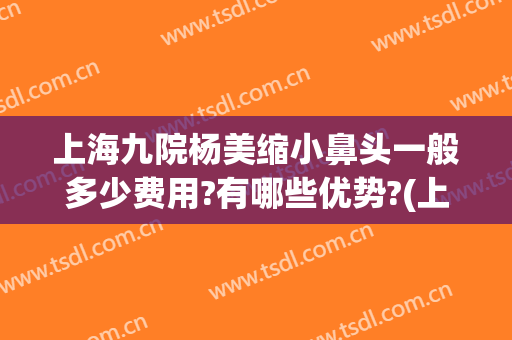 上海九院杨美缩小鼻头一般多少费用?有哪些优势?(上海九院鼻头缩小多少钱)