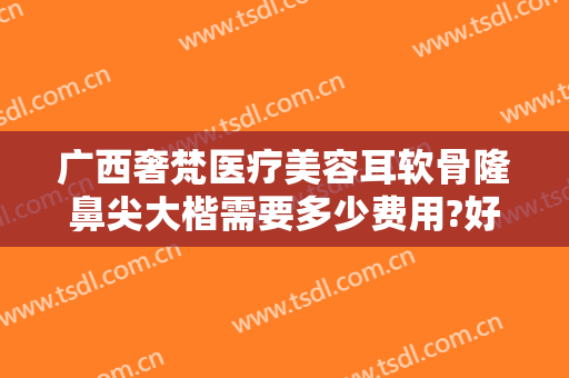 广西奢梵医疗美容耳软骨隆鼻尖大楷需要多少费用?好不好?