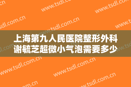 上海第九人民医院整形外科谢毓芝超微小气泡需要多少费用?好不好?