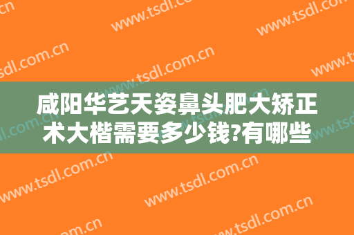 咸阳华艺天姿鼻头肥大矫正术大楷需要多少钱?有哪些优势?
