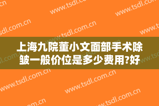 上海九院董小文面部手术除皱一般价位是多少费用?好不好?
