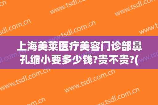 上海美莱医疗美容门诊部鼻孔缩小要多少钱?贵不贵?(鼻孔缩小手术费用大概是多少)