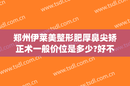 郑州伊莱美整形肥厚鼻尖矫正术一般价位是多少?好不好?(美莱郑州整形医院)