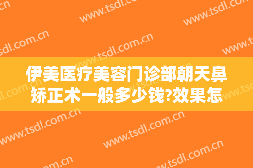 伊美医疗美容门诊部朝天鼻矫正术一般多少钱?效果怎么样?(伊美尔隆鼻最好的医生)