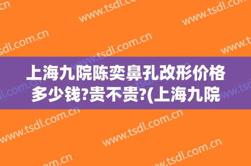 上海九院陈奕鼻孔改形价格多少钱?贵不贵?(上海九院鼻子整形)