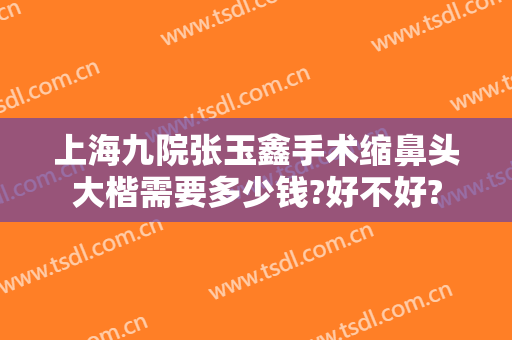 上海九院张玉鑫手术缩鼻头大楷需要多少钱?好不好?