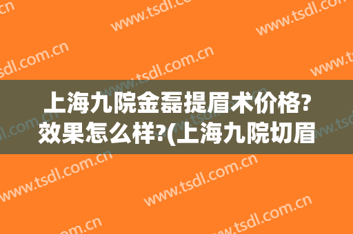 上海九院金磊提眉术价格?效果怎么样?(上海九院切眉提升哪个医生)