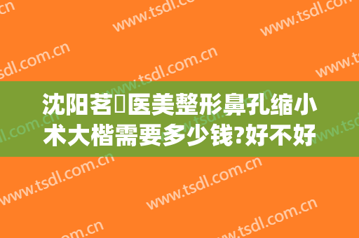 沈阳茗湲医美整形鼻孔缩小术大楷需要多少钱?好不好?(沈阳茗湲整形医院)