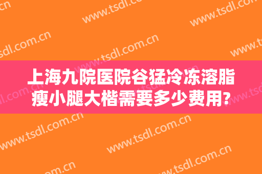 上海九院医院谷猛冷冻溶脂瘦小腿大楷需要多少费用?贵不贵?