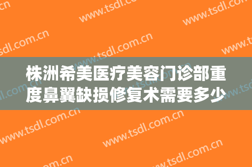 株洲希美医疗美容门诊部重度鼻翼缺损修复术需要多少钱?怎么样?(大话西游服务器维护多长时间)