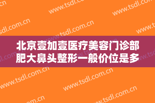 北京壹加壹医疗美容门诊部肥大鼻头整形一般价位是多少钱?贵不贵?