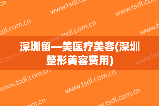 深圳留—美医疗美容(深圳整形美容费用)