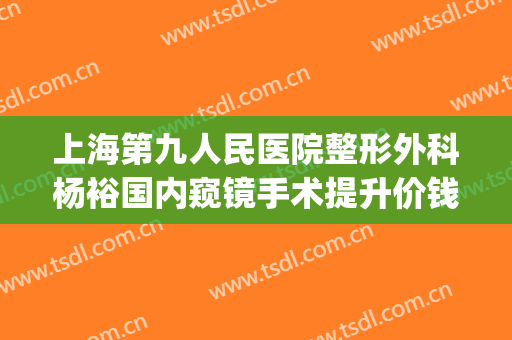 上海第九人民医院整形外科杨裕国内窥镜手术提升价钱?效果怎么样?(上海第九人民医院整形美容手术价格表)