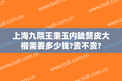 上海九院王秉玉内眦赘皮大楷需要多少钱?贵不贵?