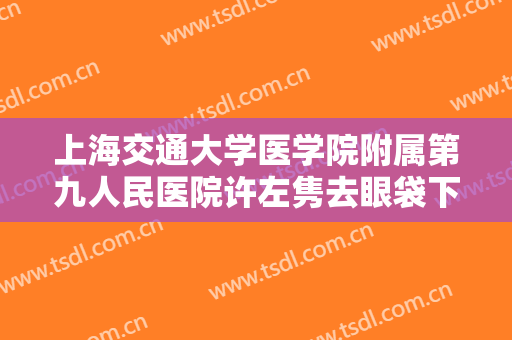 上海交通大学医学院附属第九人民医院许左隽去眼袋下垂一般价位是多少费用?贵不贵?
