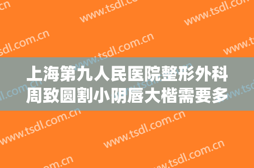 上海第九人民医院整形外科周致圆割小阴唇大楷需要多少钱?贵不贵?(上海九院整形手术价格)