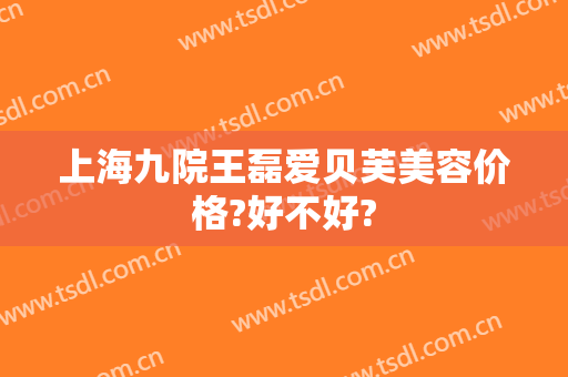 上海九院王磊爱贝芙美容价格?好不好?