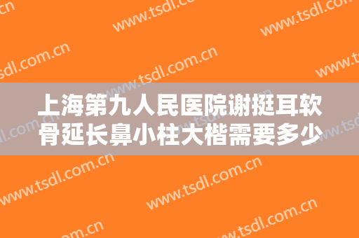上海第九人民医院谢挺耳软骨延长鼻小柱大楷需要多少费用?怎么样?