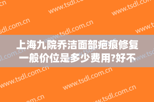 上海九院乔洁面部疤痕修复一般价位是多少费用?好不好?(上海九院祛疤痕的医生哪个好)