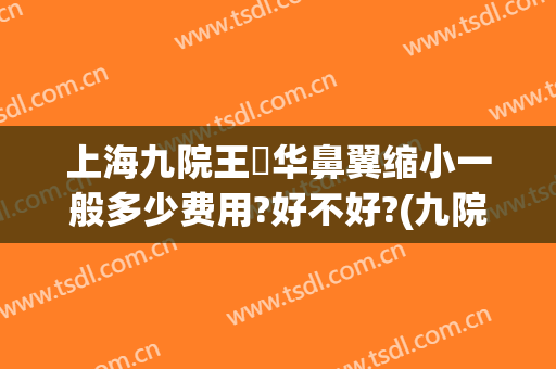 上海九院王珮华鼻翼缩小一般多少费用?好不好?(九院鼻头缩小手术费用)