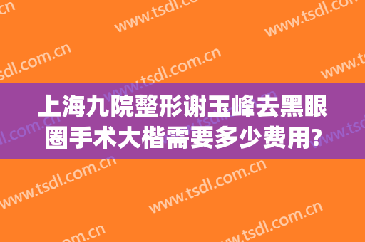 上海九院整形谢玉峰去黑眼圈手术大楷需要多少费用?怎么样?(上海九院谢峰医生双眼皮效果图)
