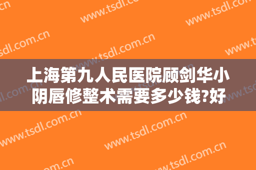 上海第九人民医院顾剑华小阴唇修整术需要多少钱?好不好?