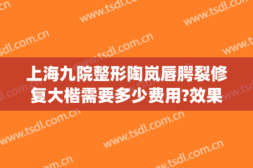 上海九院整形陶岚唇腭裂修复大楷需要多少费用?效果怎么样?(上海九院唇腭裂修复专家)