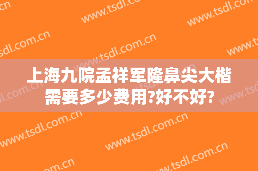 上海九院孟祥军隆鼻尖大楷需要多少费用?好不好?