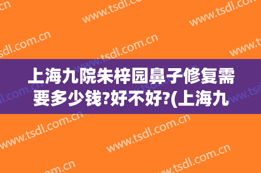 上海九院朱梓园鼻子修复需要多少钱?好不好?(上海九院鼻修复哪个医生好)