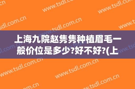 上海九院赵隽隽种植眉毛一般价位是多少?好不好?(上海九院植眉价格)