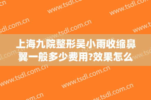 上海九院整形吴小雨收缩鼻翼一般多少费用?效果怎么样?(上海九院缩小鼻翼多少钱)
