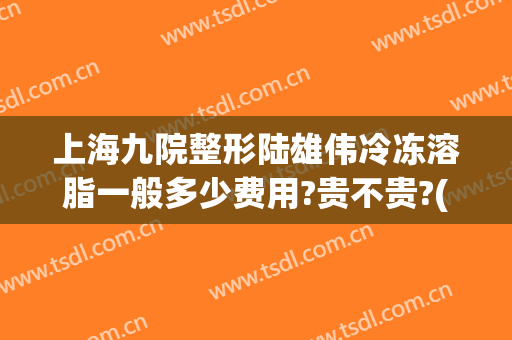 上海九院整形陆雄伟冷冻溶脂一般多少费用?贵不贵?(冷冻溶脂 上海九院)