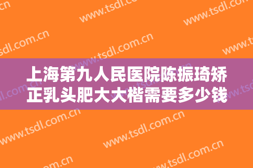 上海第九人民医院陈振琦矫正乳头肥大大楷需要多少钱?多长时间恢复?