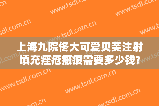 上海九院佟大可爱贝芙注射填充痤疮瘢痕需要多少钱?怎么样?